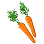 carrot vegetable