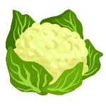 culiflower vegetables name