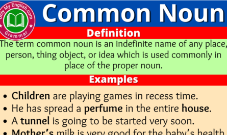 common noun definition examples