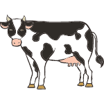 cow