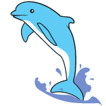 dolphin