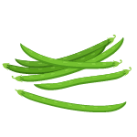 green bean vegetable