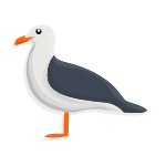 gull