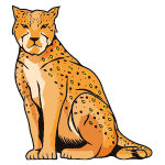 leopard