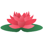 lotus flower