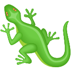 lizard