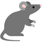 mouse