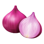 onion vegetable