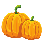 pumpkin vegetable