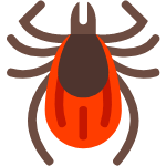 tick