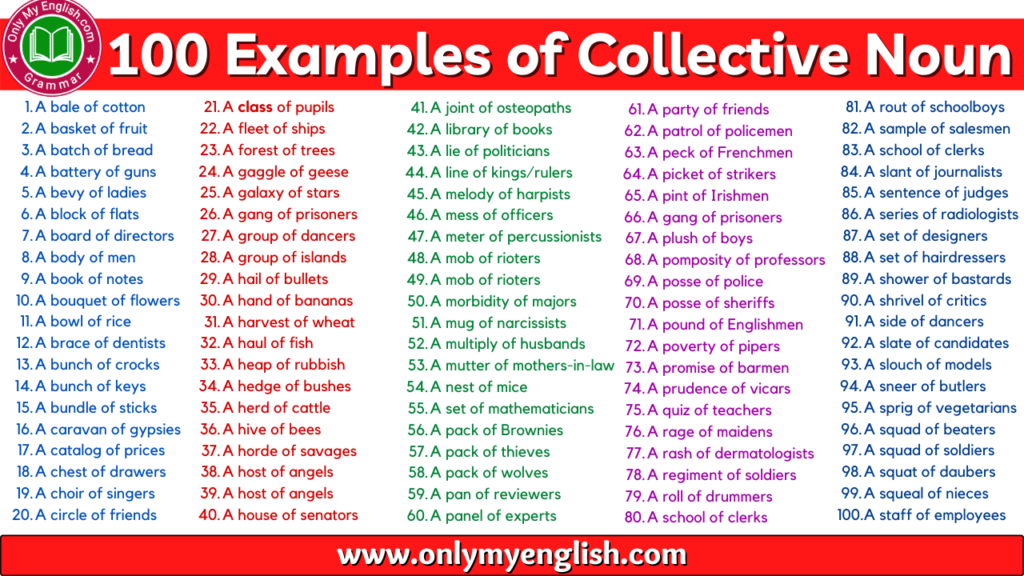 collective noun list
