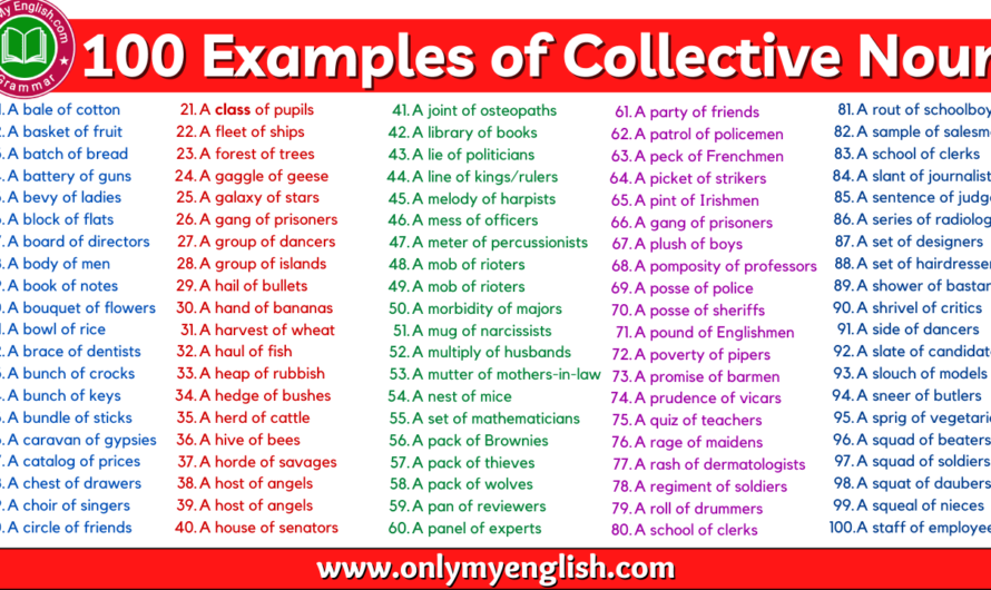 100 Examples of Collective Noun are in sentences