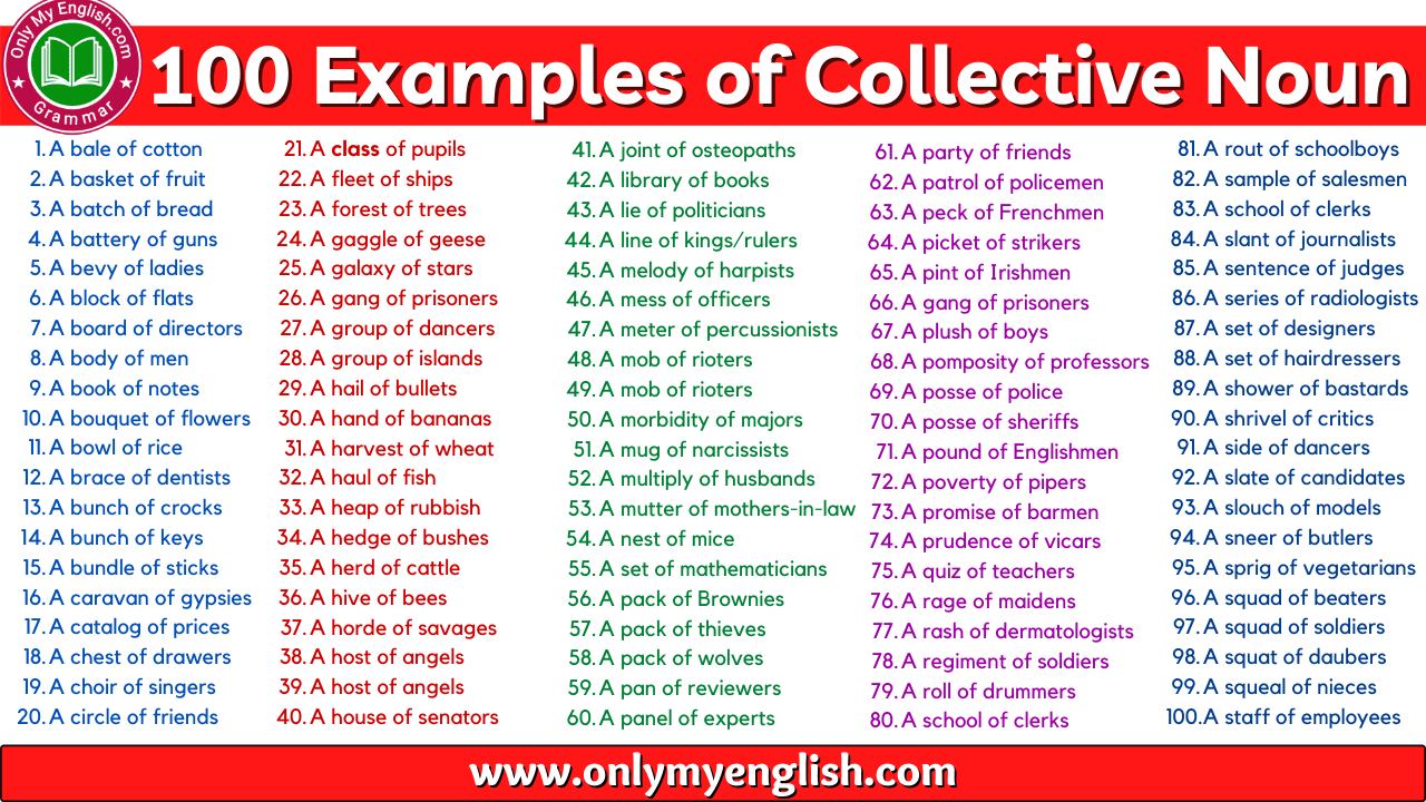 What Is Collective Noun Example In Sentences