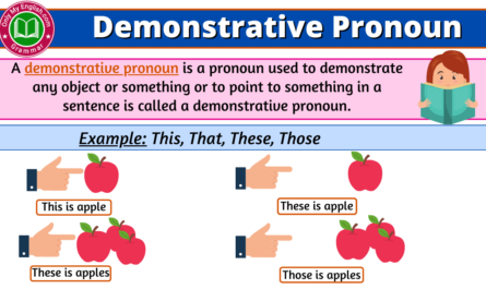 Demonstrative Pronoun