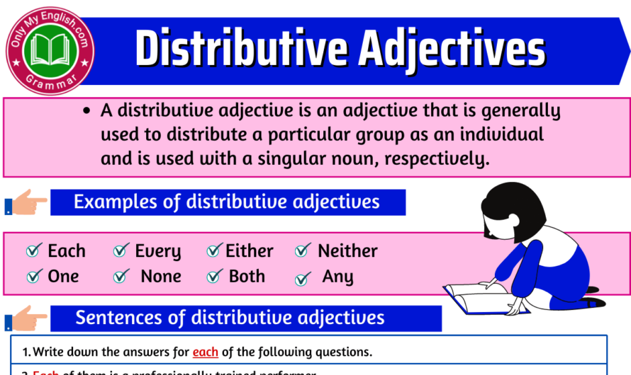 Distributive Adjectives: Definition, Examples, & List