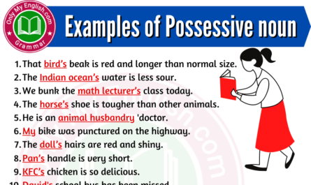 possessive noun examples in sentences