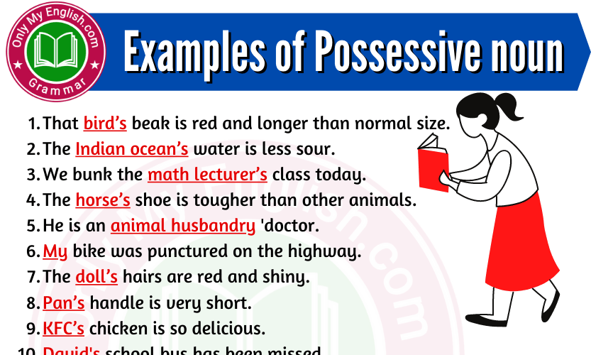 20-examples-of-possessive-noun-onlymyenglish