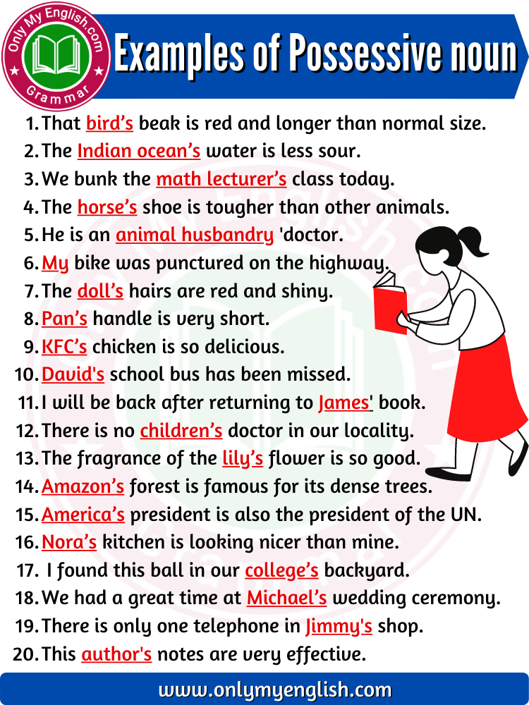 possessive noun examples in sentences