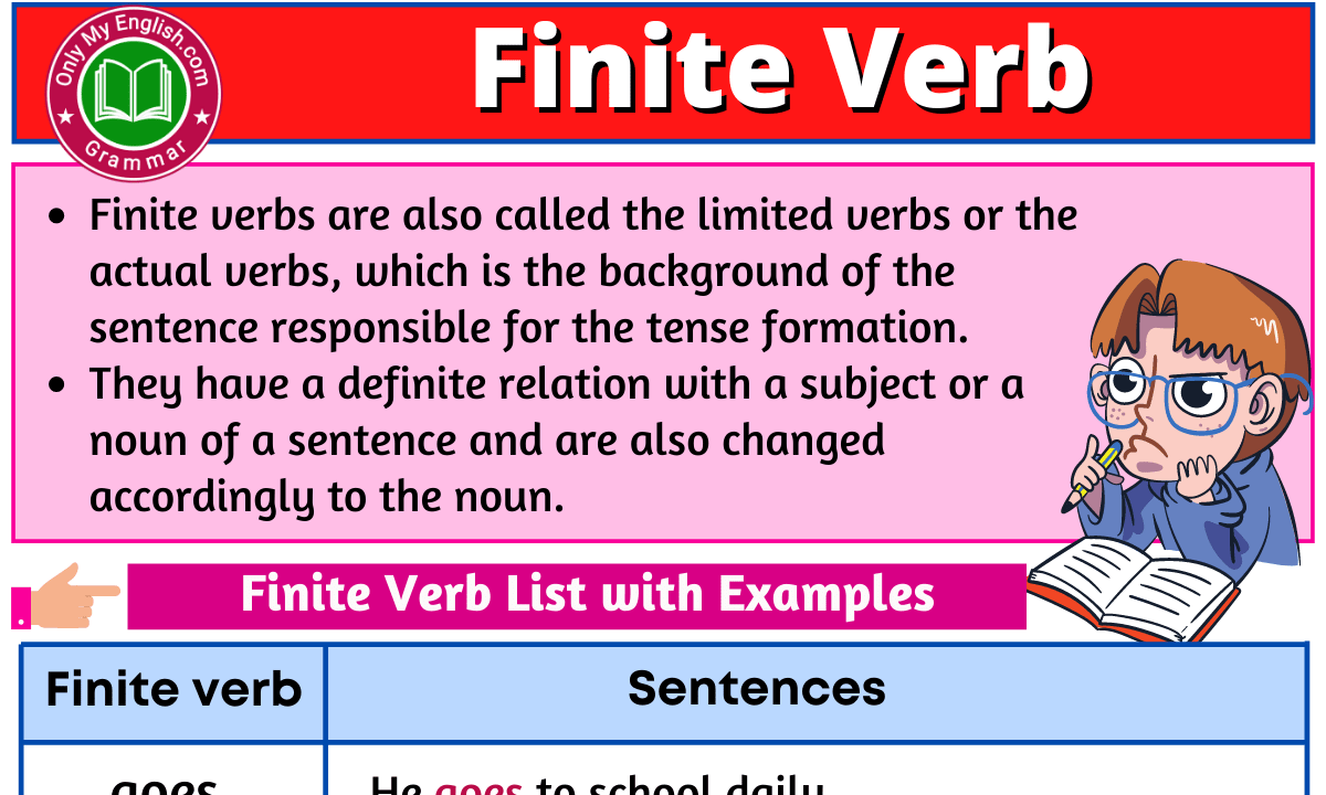 did you finish your homework identify the finite verb