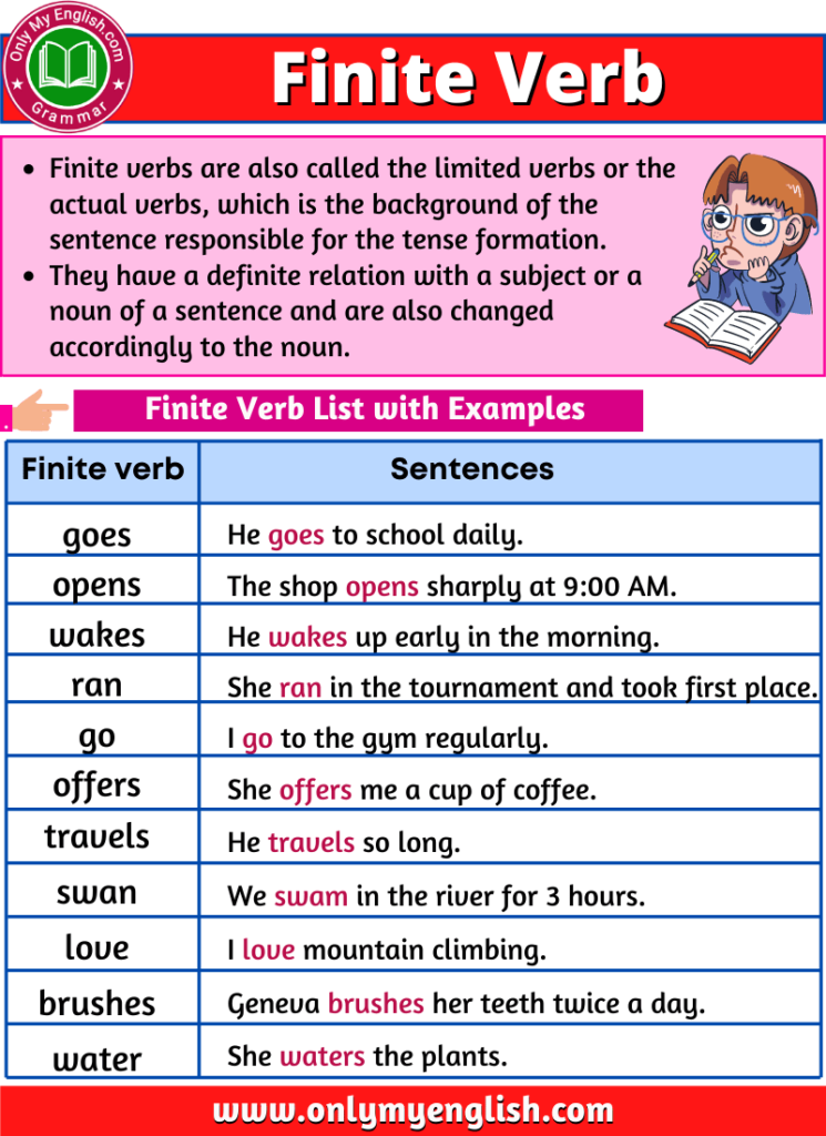 finite verb