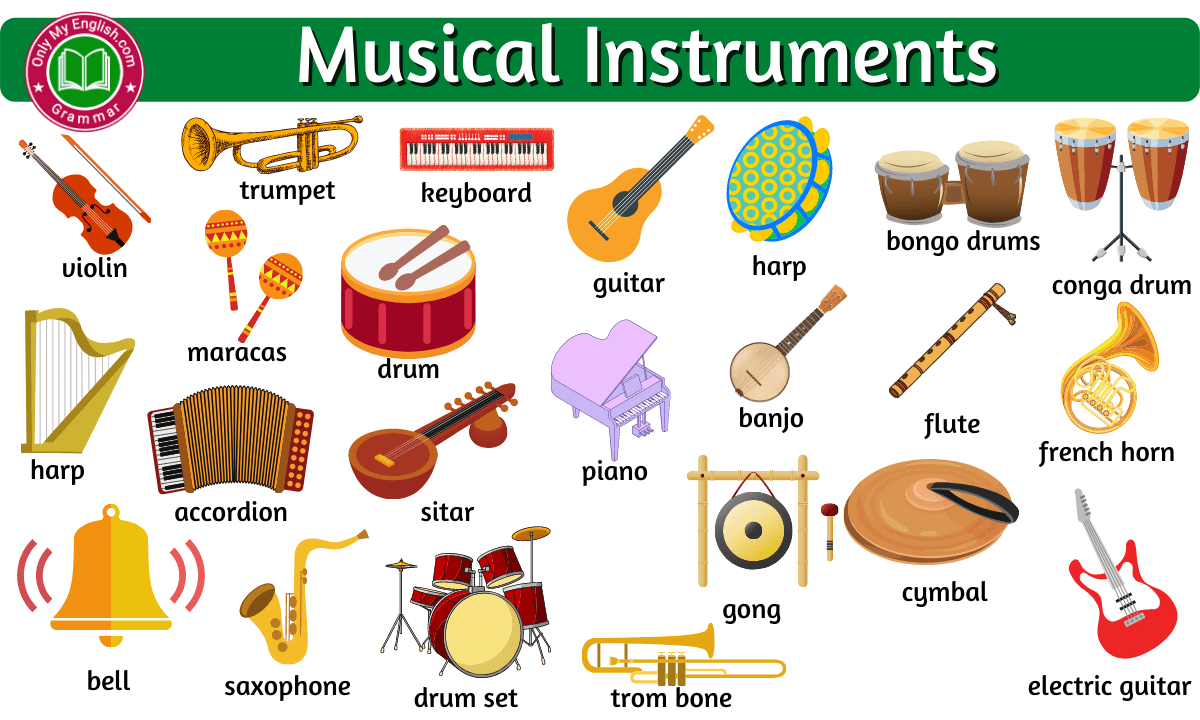 20+ Musical Instruments Names with Pictures »