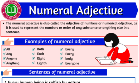 numeral adjectives