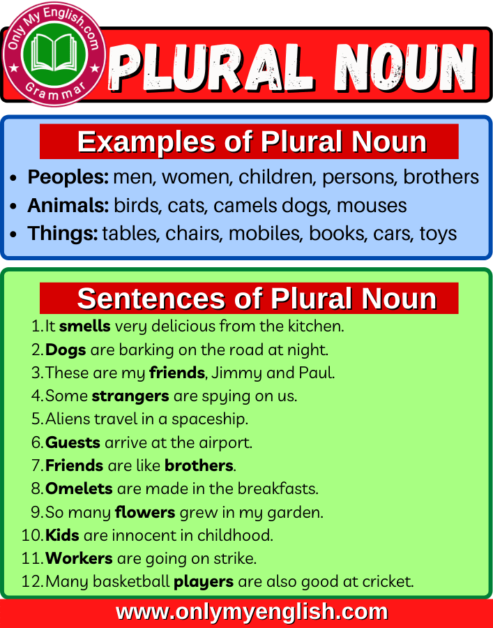 plural noun definition examples list