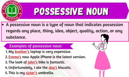 Possessive noun