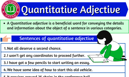 quantitative adjective