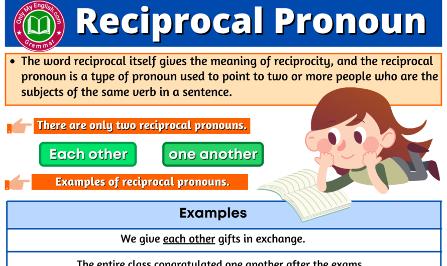 Reciprocal Pronoun: Definition, Types, Examples, & List