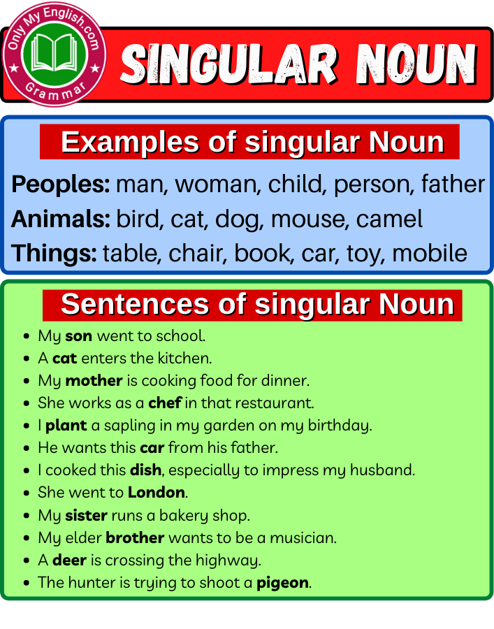 singular noun definition examples