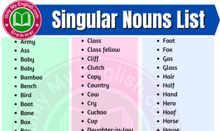 singular noun list