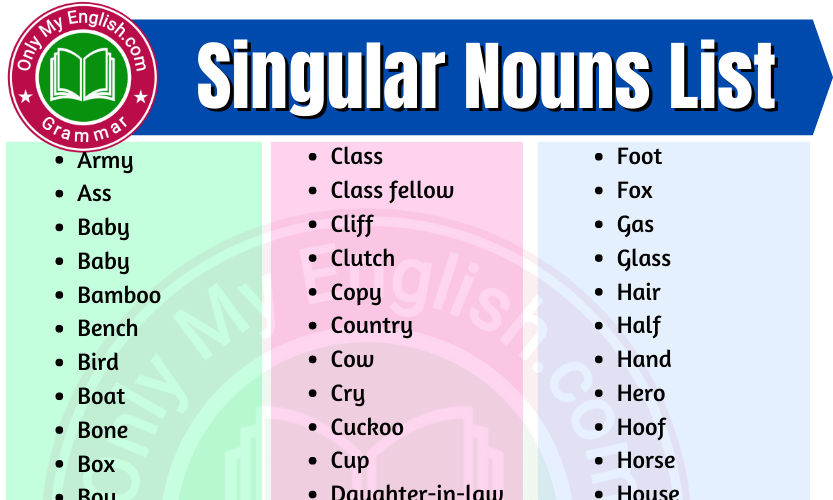 Singular And Plural Nouns List With Pictures Pdf Engdic | My XXX Hot Girl