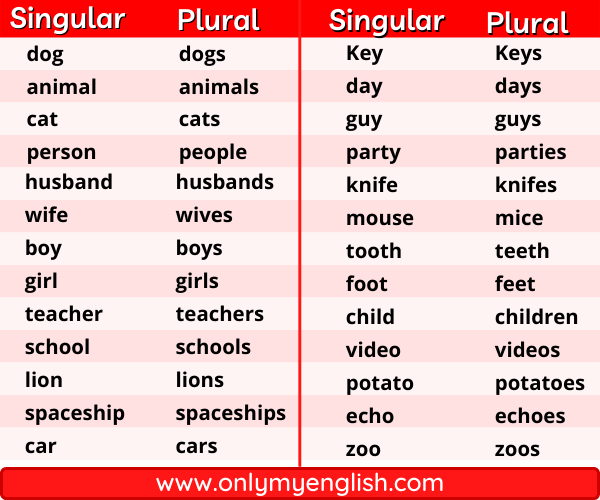 50+ Singular and Plural Nouns Words » OnlyMyEnglish