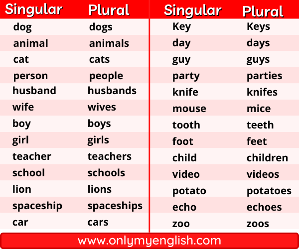 A Huge List Of Singular And Plural Nouns Words Onlymyenglish