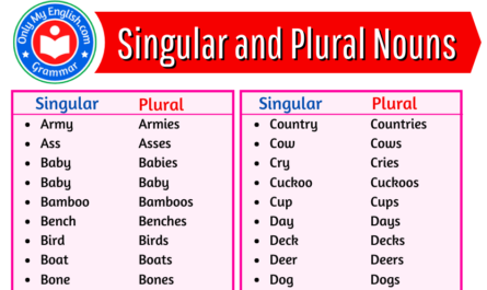 singular and plural words list
