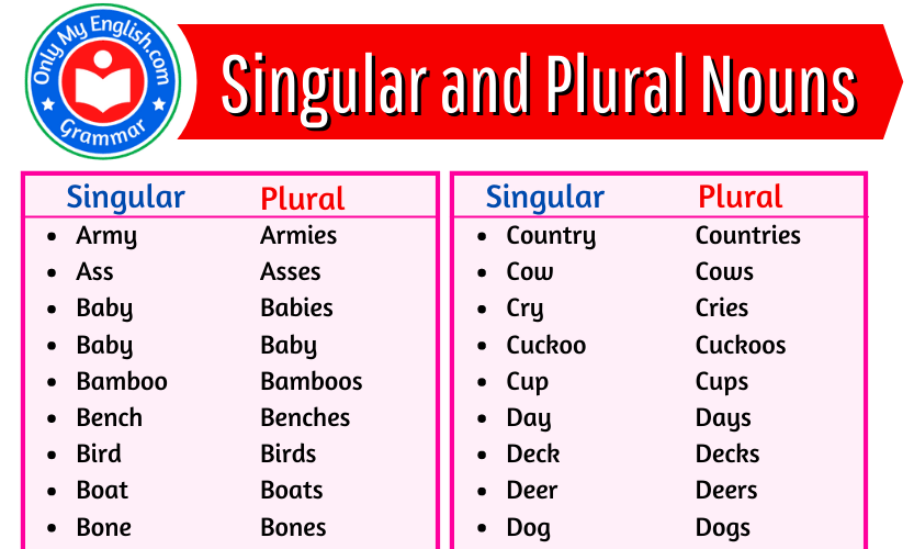 A Huge List of Singular and Plural Nouns words » OnlyMyEnglish