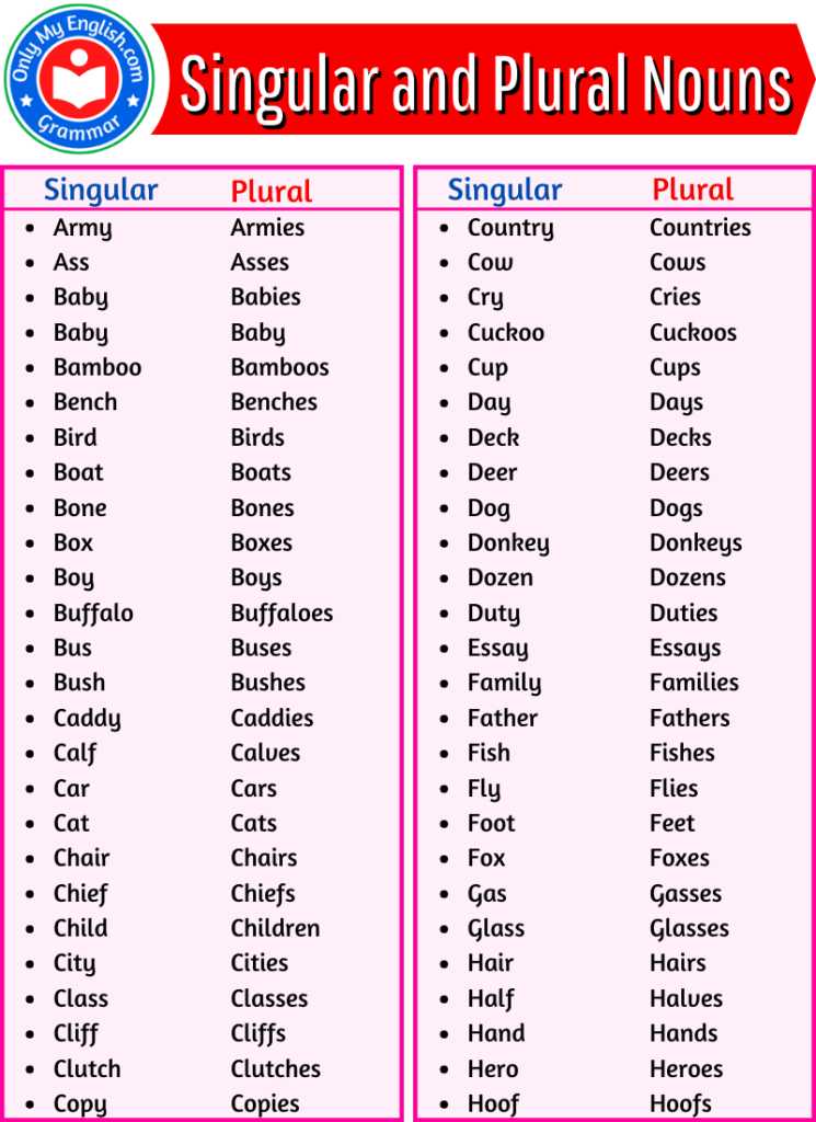 singular and plural words list