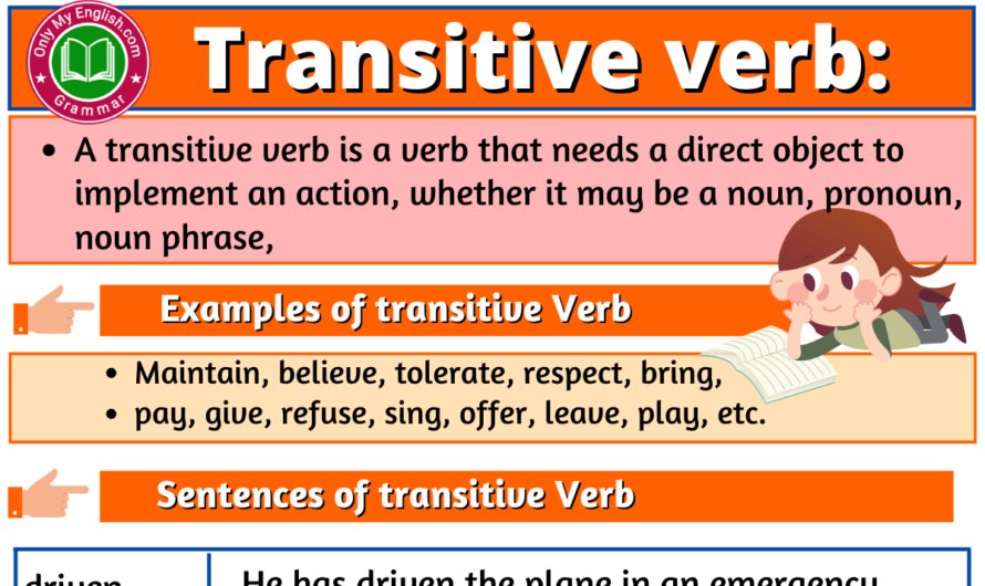 Transitive Verb: Definition, Examples, and List