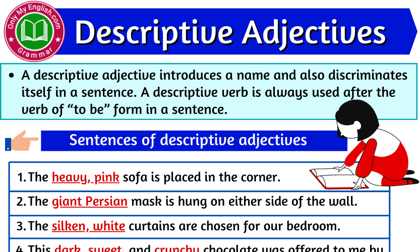 Article And Descriptive Adjective Worksheet