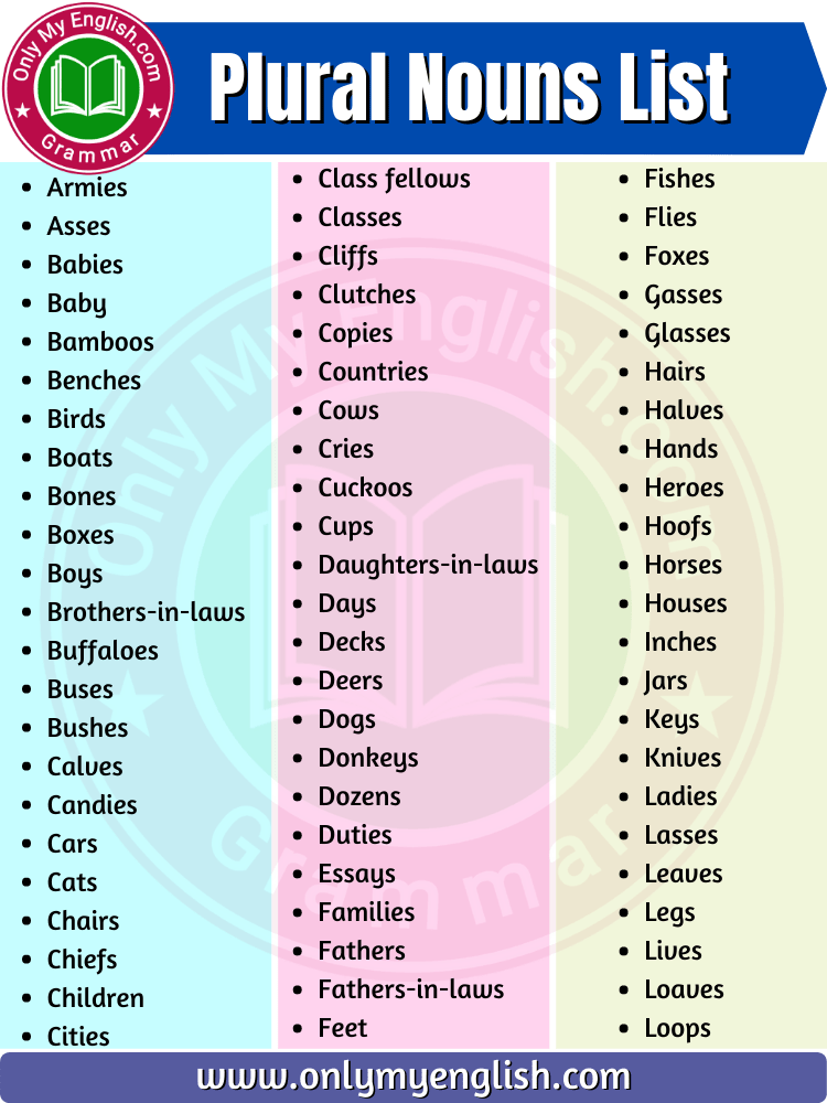 plural noun list