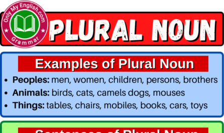 plural noun