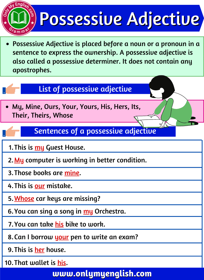 possessive adjective