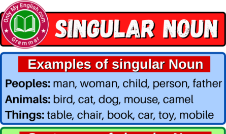 singular noun