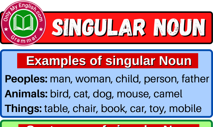 Singular Noun: Definition, Examples, Sentences & List