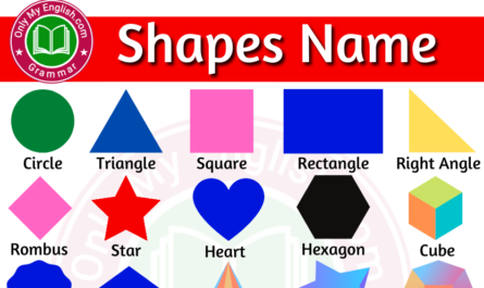 shapes name