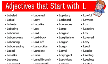 Adjectives that start L