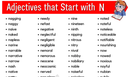 Adjectives that start with n (1)