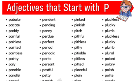 Adjectives that start with p (1)