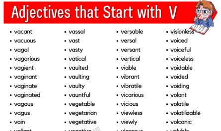 Adjectives that start with v (1)